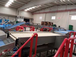 Línea completa Sorma 1x8 hueso más cítrico